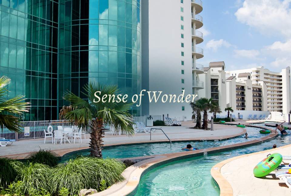 Turquoise Place, Orange Beach, Orange Beach, Alabama, United States