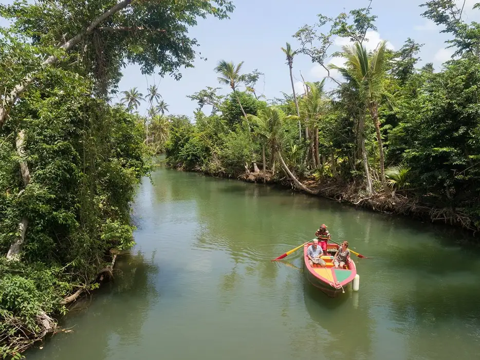 The forest-lined Indian River near Portsmouth in Dominica