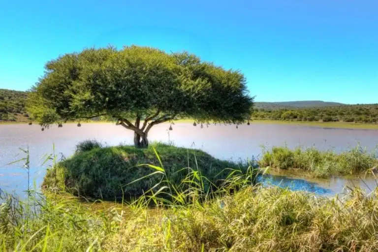 The landscape of Great Fish River Nature Reserve in the Eastern Cape