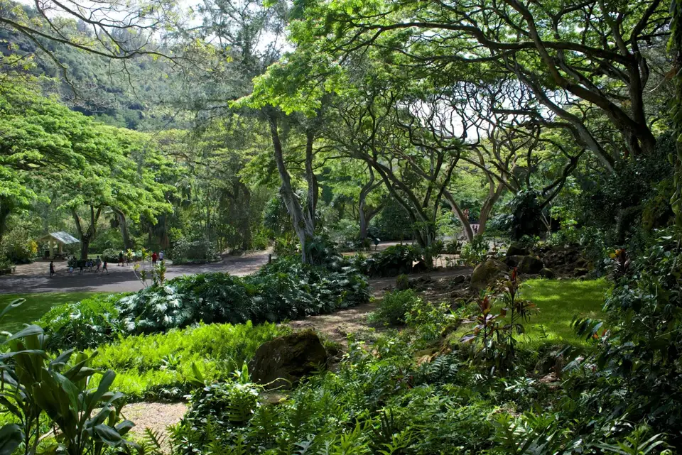 The botanical landscape of Waimea Valley on Oahu's North Shore