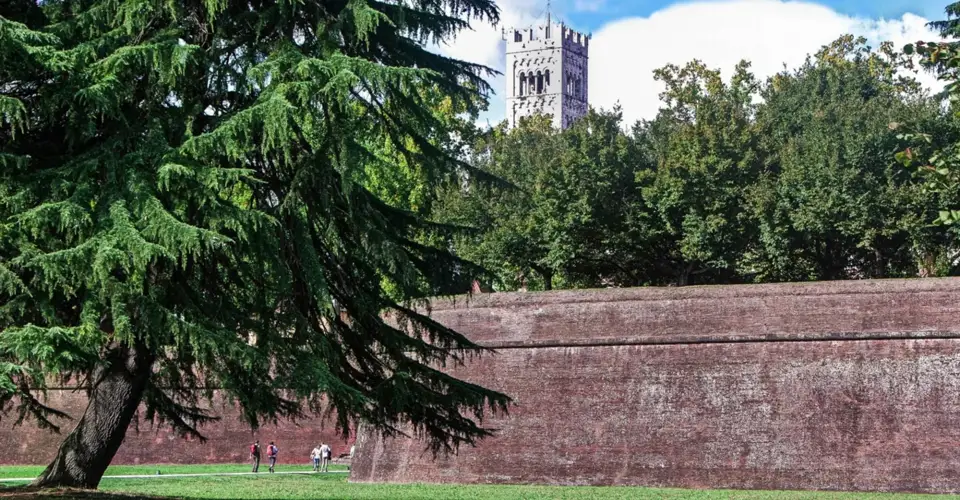 The historic city walls and green promenade of Lucca in Tuscany